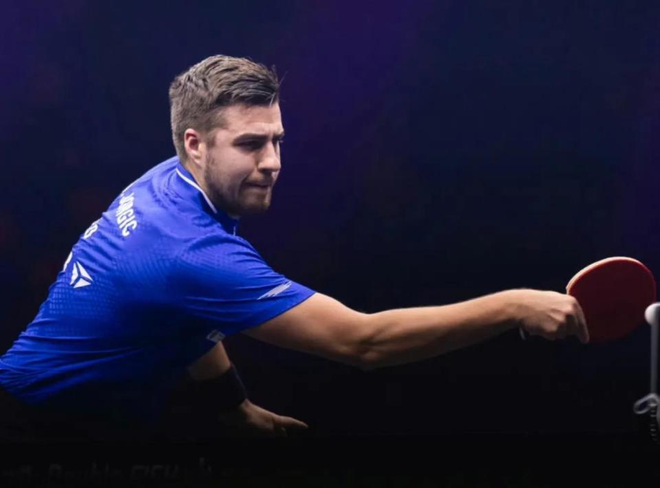 培养体系的 培养体系的