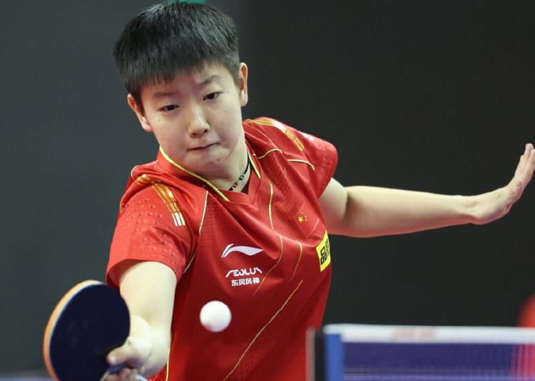 市文化生态 市文化生态