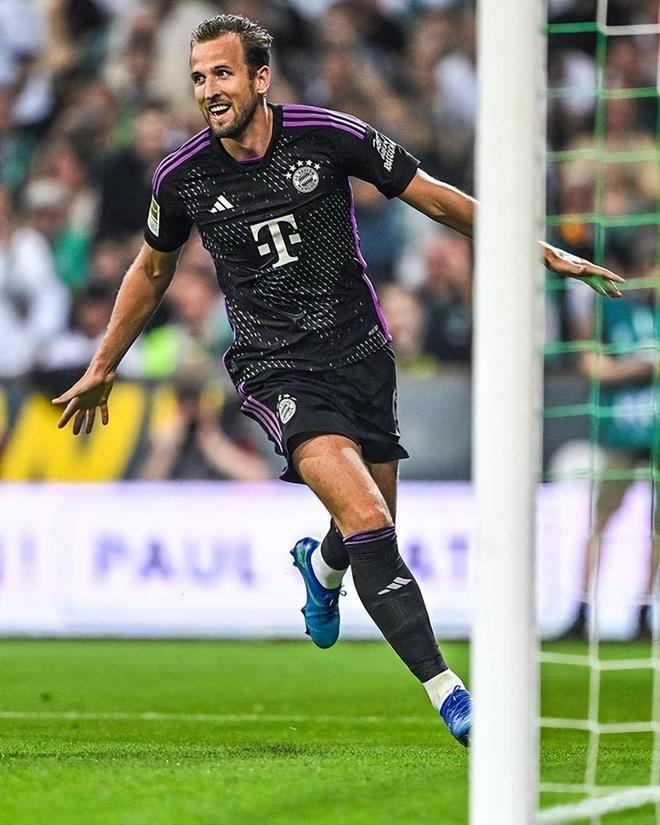 他们不仅在 他们不仅在