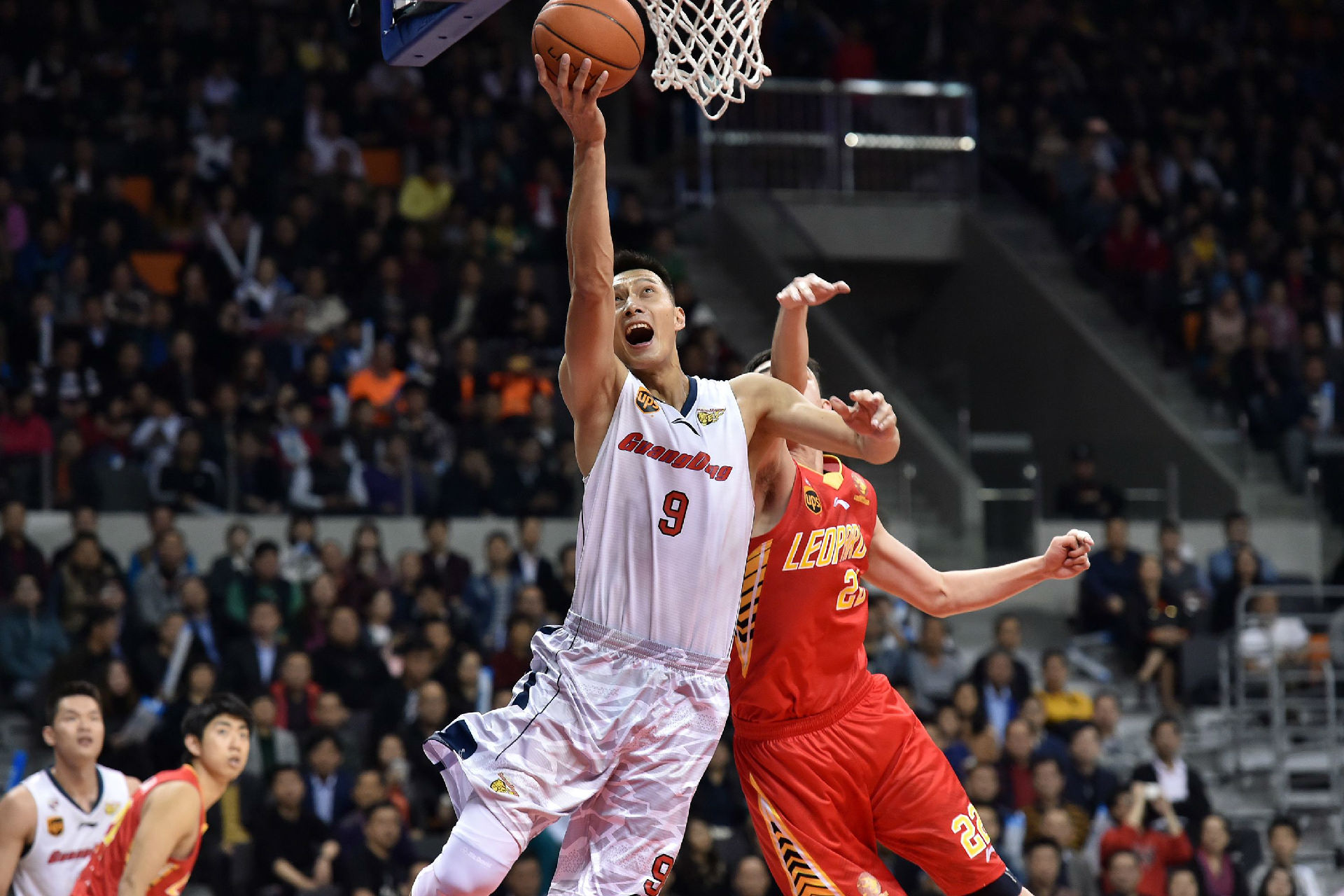 像库与版本 像库与版本