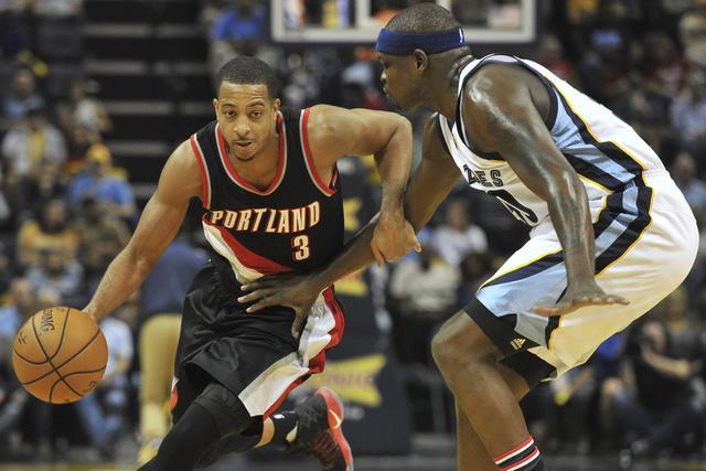 林间小世界 林间小世界